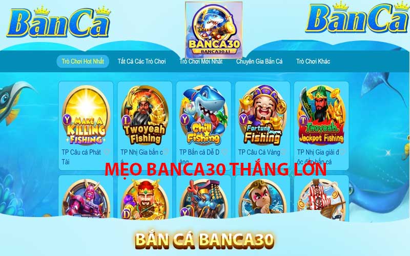 banca30 tại the8rs